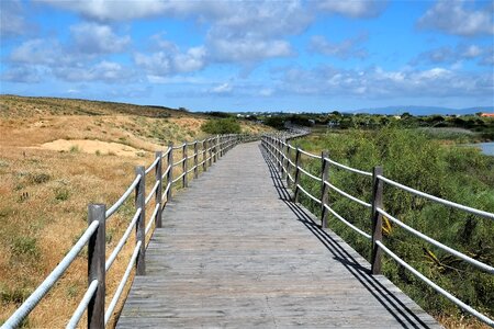 Web travel nature park