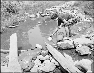 Mrs. Edna Lingar getting wash water from dirty stream, stock wade this stream, privies drain into it, garbage decay... - NARA - 541246