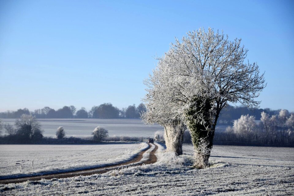 Field winter snow