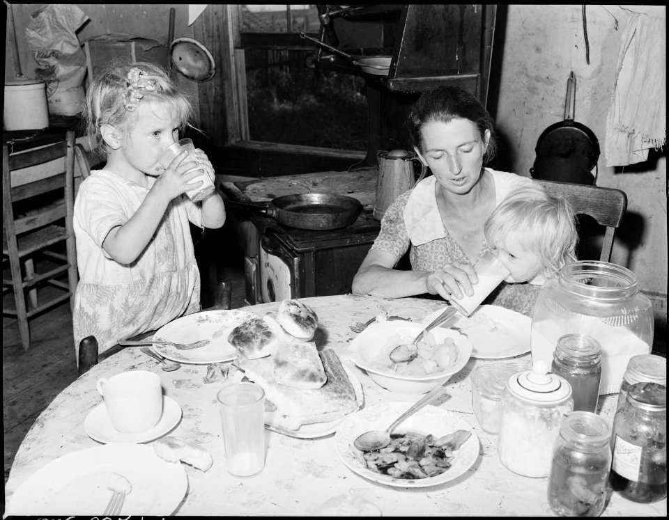 Mrs. Dillard Eldridge and two of her children at supper. The family raises a large garden and have a cow, chickens... - NARA - 541210