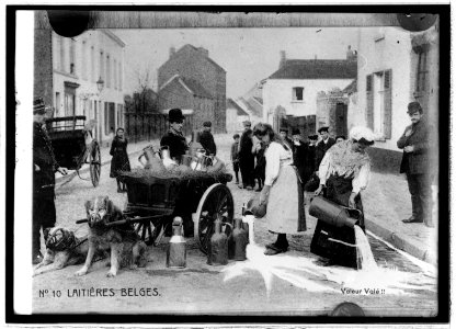 Mrs. Faber Stevenson, daily life in Antwerp LCCN2016820905