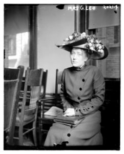Mrs. G. Leo LCCN2014688065