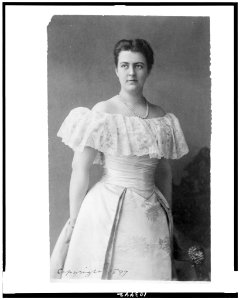 Mrs. Frances Folsom Cleveland, three-quarter-length portrait, standing, facing left LCCN91784411 photo