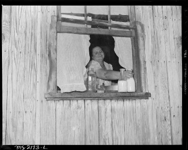 Mrs. Gillie Treadway, wife of a miner, getting milk from her kitchen window. She has no refrigeration in the house.... - NARA - 541157