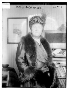 Mrs. H.A. Stimson LCCN2014701098