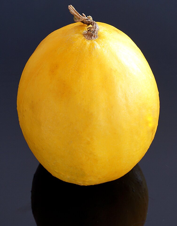 Fruit grow food