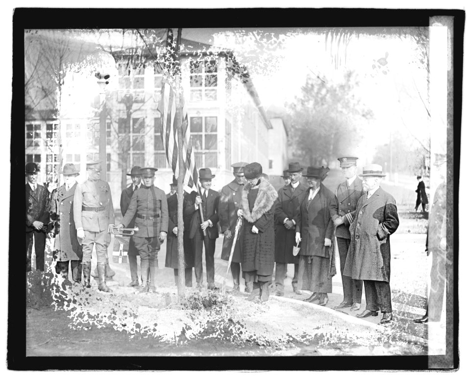 Mrs. Harding at tree planting LOC npcc.05287