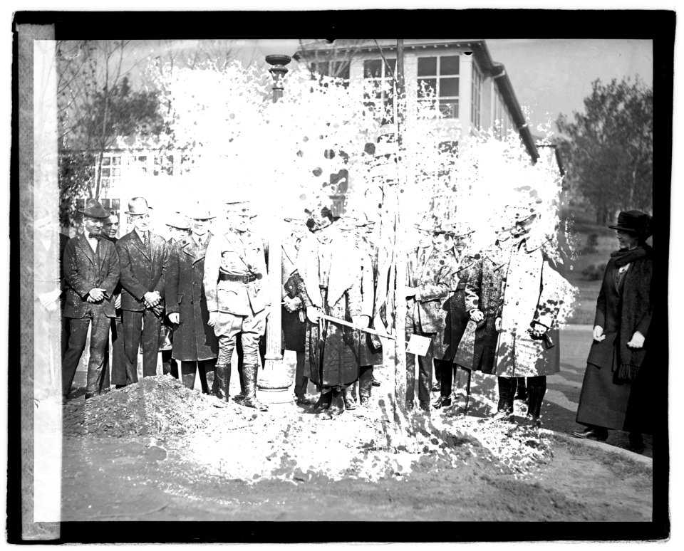 Mrs. Harding at tree planting LOC npcc.05289