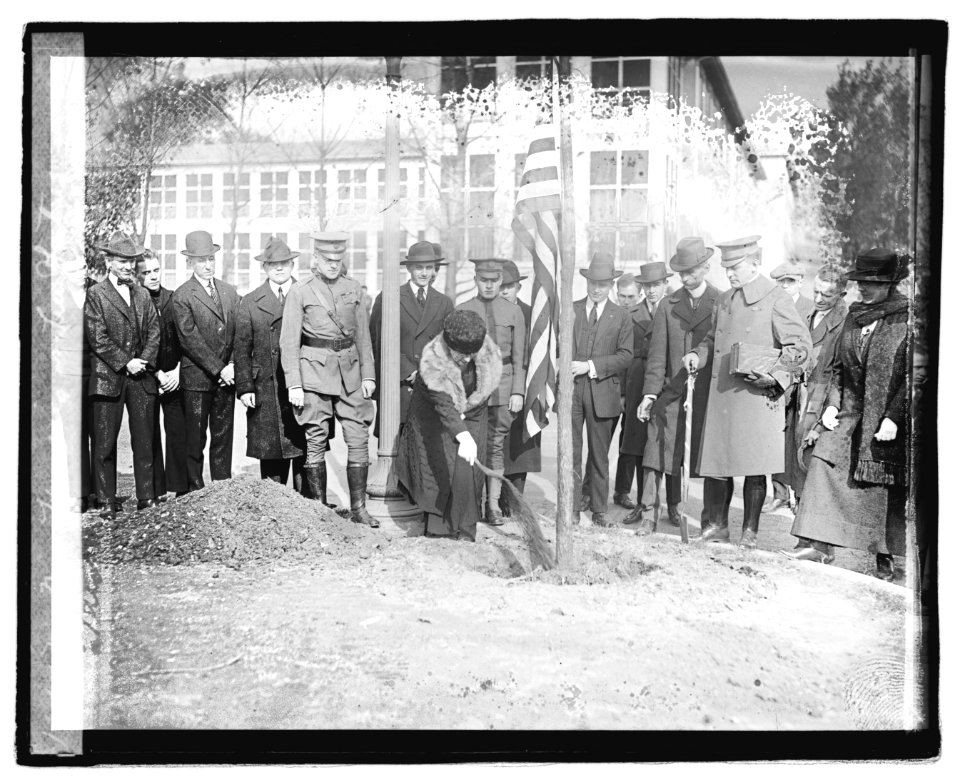 Mrs. Harding at tree planting LOC npcc.05286