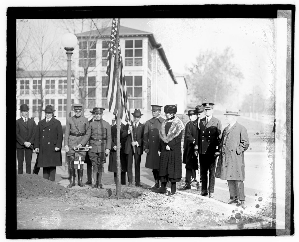 Mrs. Harding at tree planting LOC npcc.05288
