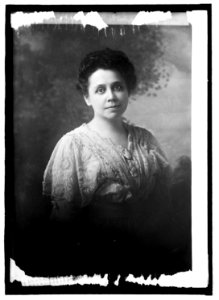 Mrs. Horace M. Towner LCCN2016821344