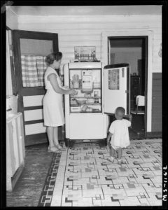 Mrs. Gonzalla Sullivan, wife of miner, in kitchen of her home in company housing project. Koppers Coal Division... - NARA - 540282 photo