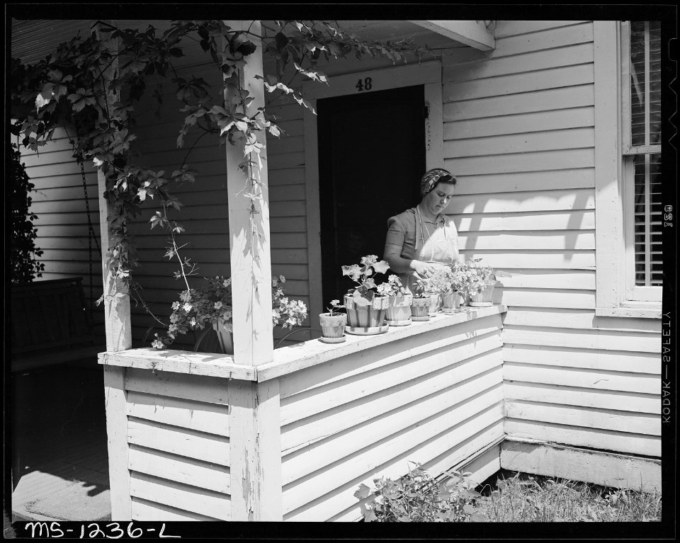 Mrs. Irene Shelton whose husband was killed in mine accident in July, 1946, on front porch of her six room and bath... - NARA - 540745