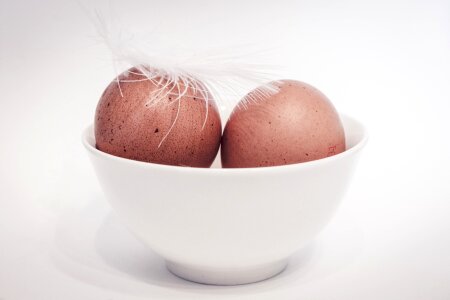 Easter eggshell food