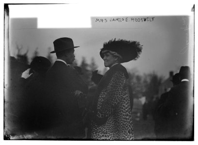 Mrs. James E. Roosevelt LCCN2014690874