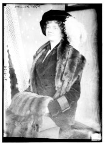 Mrs. Joe Tinker LCCN2014692333