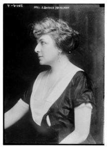 Mrs. J. Borden Harriman LCCN2014695667