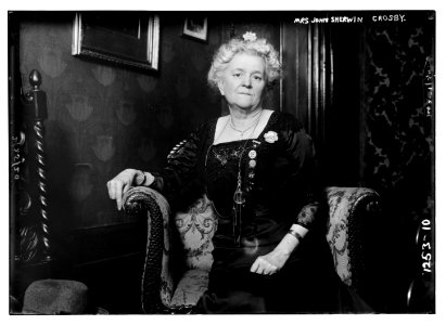 Mrs. John Sherwin Crosby LCCN2014686496