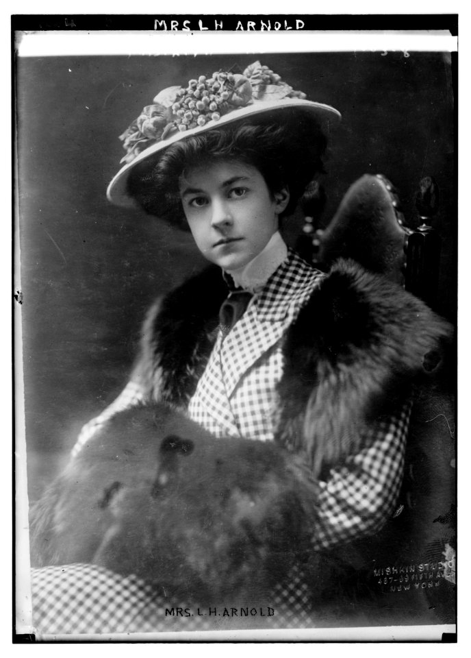 Mrs. L.H. Arnold LCCN2014686298