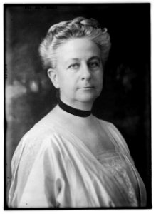 Mrs. Jos. T. Brown LCCN2014716427