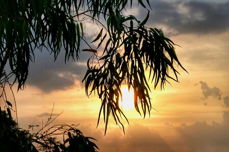 Sunset dusk late