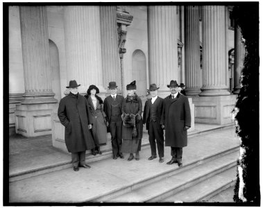 Mrs. Lawrence Lewis, Rep. Simon D. Fess Sen. C. Curtis LOC hec.14213