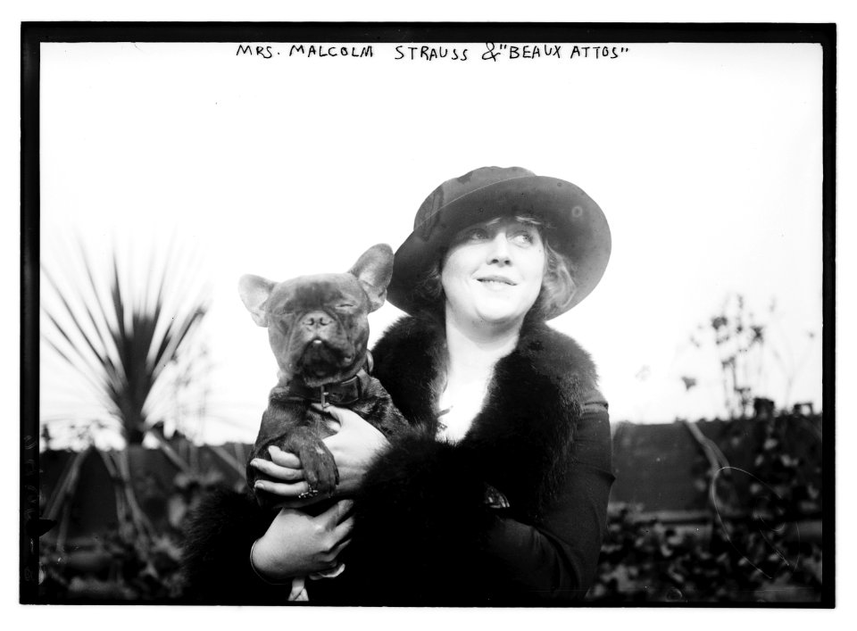 Mrs. Malcolm Strauss & Beaux Attos (i.e., Athos) LCCN2014690955