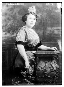 Mrs. Marie L. Baldwin LCCN2014697069