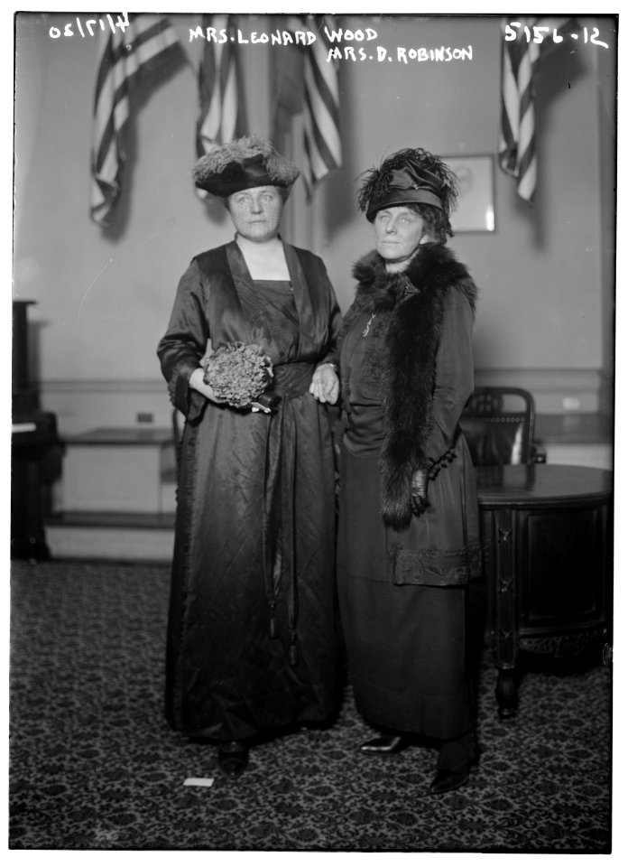 Mrs. Leonard Wood & Mrs. D. Robinson LCCN2014710394