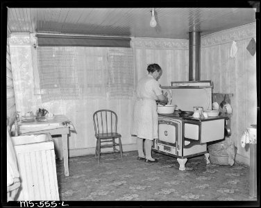 Mrs. Millie Borich, widow of miner, who lives in company housing project. Hudson Coal Company, Hudson Mine, Sweet... - NARA - 540485
