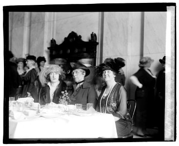 Mrs. McLean, Mrs. Harding & Mrs. Marshall LOC npcc.03111