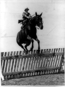 Mrs. O.C. Coolican taking the fence on Happy Days, her entry in the National Capital Horse Show, opening in Washington, May 14th LCCN89711907