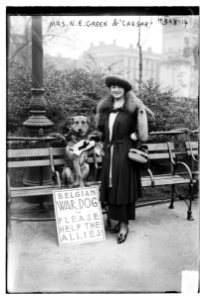 Mrs. N.E. Green & Caesar LCCN2014705852