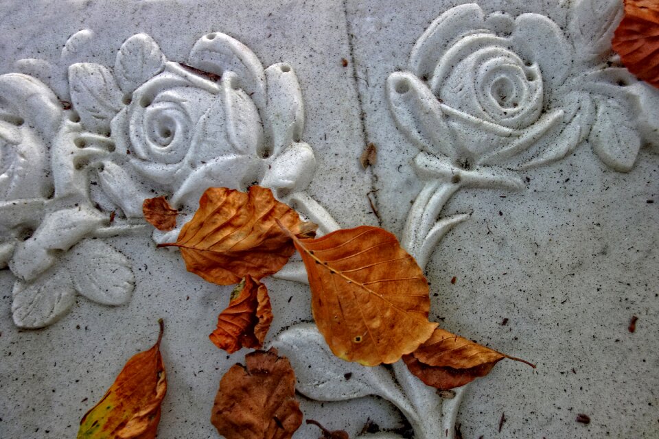 Ornament decoration sculpted