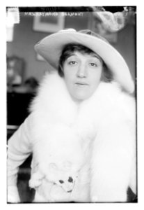Mrs. Raymond Belmont LCCN2014699773