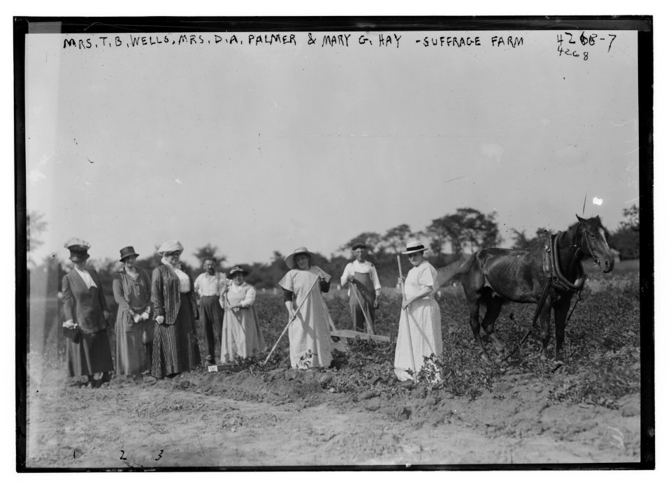 Mrs. T.B. Wells, Mrs. D.A. Palmer & Mary G. Hay - suffrage farm LCCN2014705072