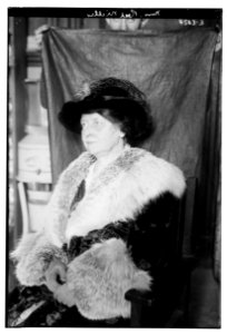 Mrs. Reed Miller LCCN2014706429