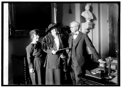 Mrs. Thos. D. Schall, Mrs. Eugene Drendome & Vice Pres. delivering the electorial vote of Minn., 1-24-21 LCCN2016844917