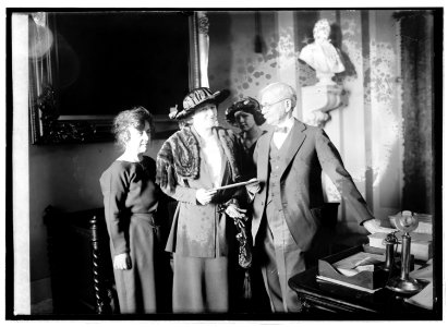 Mrs. Thos. D. Schall, Mrs. Eugene Drendome & Vice Pres. delivering the electorial vote of Minn., 1-24-21 LCCN2016844919