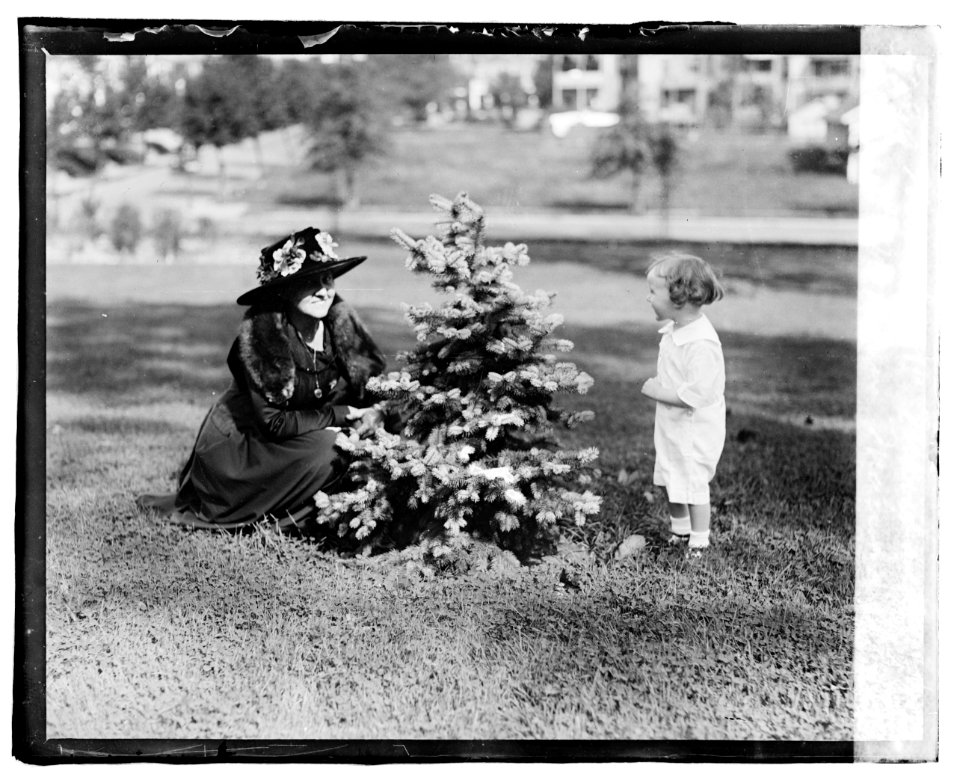 Mrs. Thos. R. Marshall & Morrison Marshall LCCN2016819673