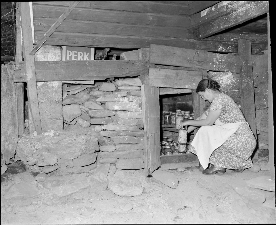 Mrs. Tudor Circo stores canned fruits and vegetables under her house in company housing project. Raven Red Ash Coal... - NARA - 541107