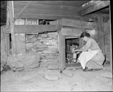 Mrs. Tudor Circo stores canned fruits and vegetables under her house in company housing project. Raven Red Ash Coal... - NARA - 541107