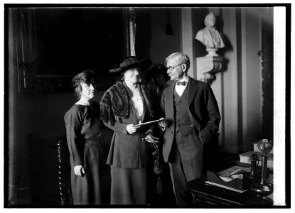 Mrs. Thos. D. Schall, Mrs. Eugene Drendome & Vice Pres. delivering the electorial vote of Minn., 1-24-21 LCCN2016844918