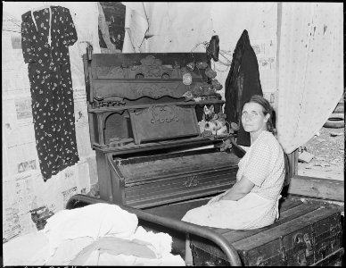 Mrs. W. H. Lawson, wife of old time miner. Kentucky Straight Creek Coal Company, Belva Mine, abandoned after... - NARA - 541221