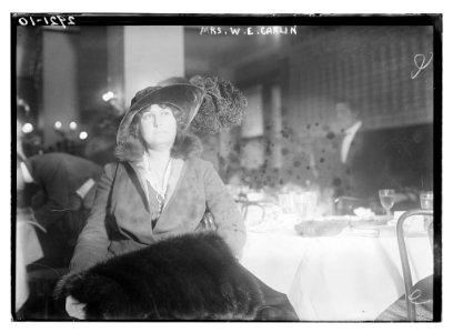 Mrs. W.E. Carlin LCCN2014694910