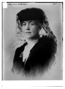Mrs. W.K. Vanderbilt LCCN2014700277
