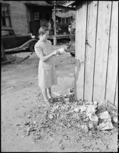 Mrs. Virgil Price, wife of miner, peels a head of lettuce in garbage pile adjacent to privy. Black Mountain... - NARA - 541269