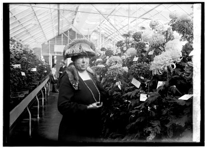Mrs. Wallace at Mum show, (10-28-22) LCCN2016846820