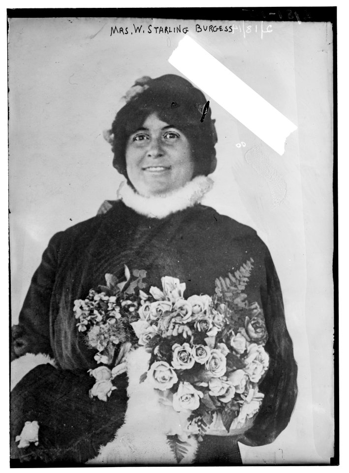 Mrs. W. Starling Burgess LCCN2014695368