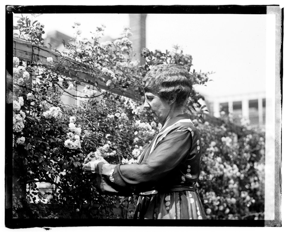 Mrs. Warren G. Harding LCCN2016828168